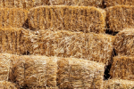 Substrate and inputs
